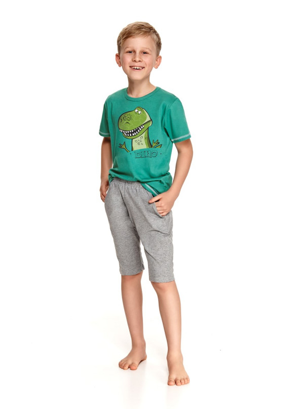 Детская хлопковая пижама 2215/2216 SS21 ALAN зеленый+серый, Taro (Польша)